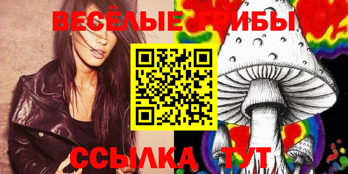 Галлюциногенные грибы Psilocybine cubensis  Вход с VPN  Донецк 